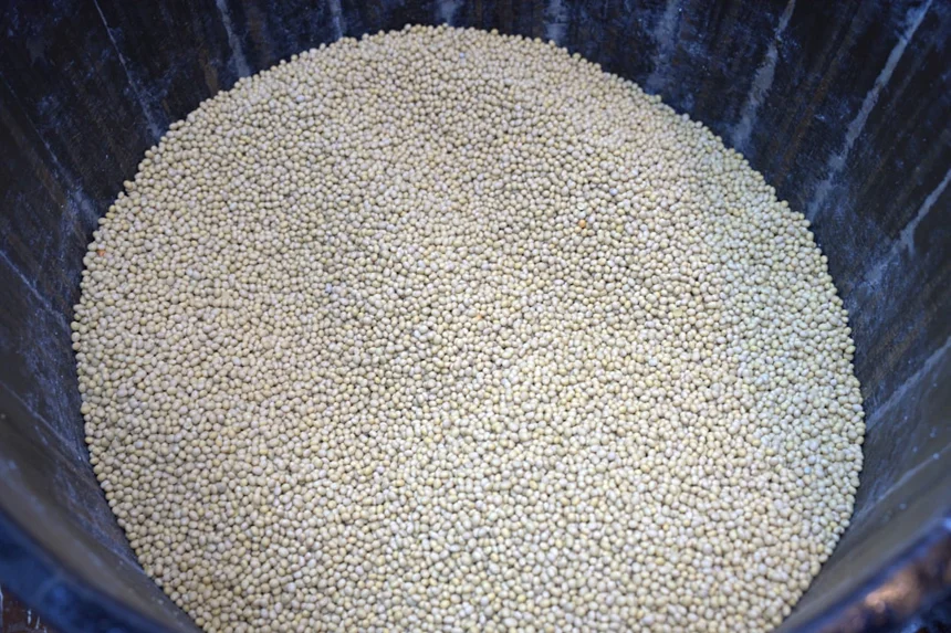 이자카야 두부샐러드 다이어트 식단 정복