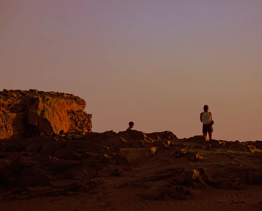 탄현 이자카야에서 즐기는 진정한 일본의 맛