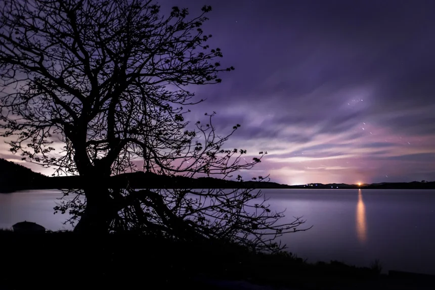 Nightscape
