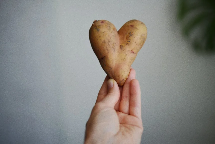 Potato