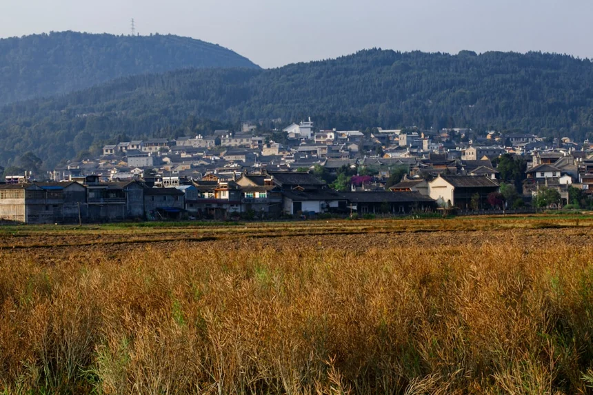 이자카야 메뉴추천 – 든든한 야키우동 맛보기