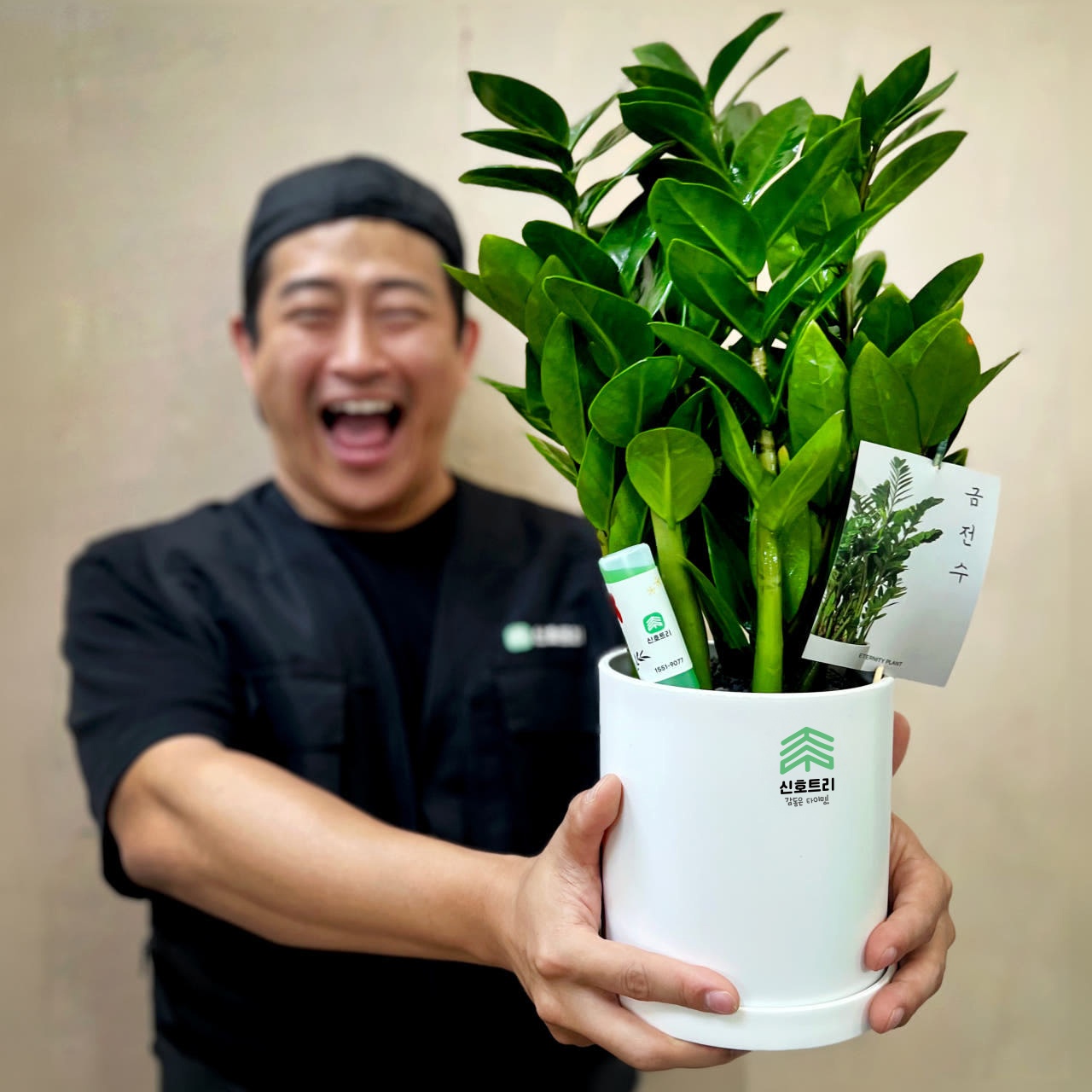 관엽식물 금전수 화환으로 특별한 순간을 축하해보세요