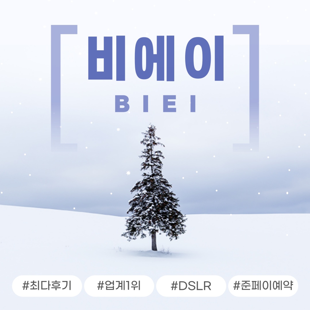 “삿포로 비에이 후라노 버스투어 DSLR 사진 촬영” 후기, 기대 이상이었어요